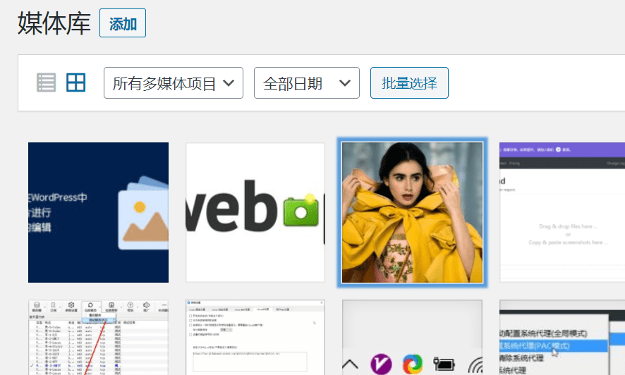 Wordpress裁剪工具变灰?使用WordPress自带工具裁切图片