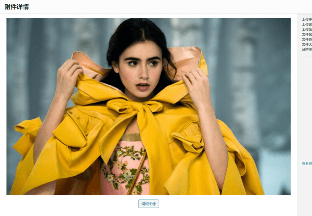 Wordpress裁剪工具变灰?使用WordPress自带工具裁切图片