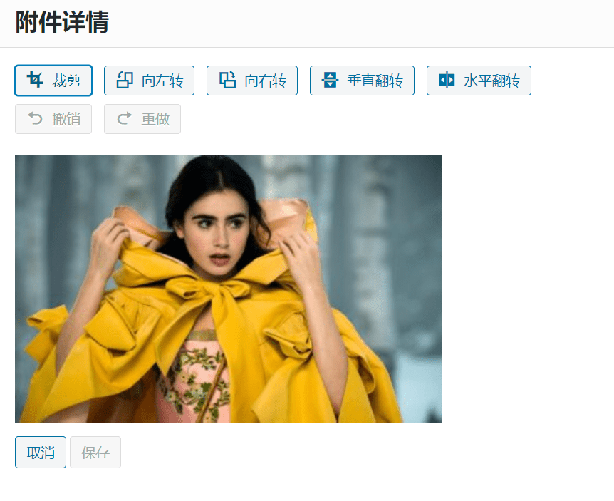 Wordpress裁剪工具变灰?使用WordPress自带工具裁切图片