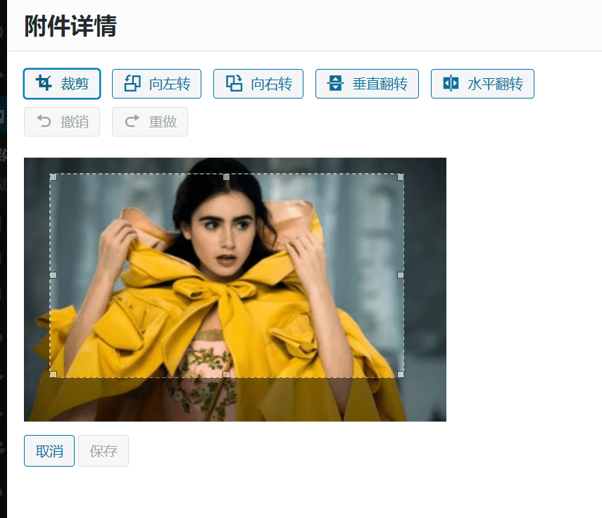 Wordpress裁剪工具变灰?使用WordPress自带工具裁切图片
