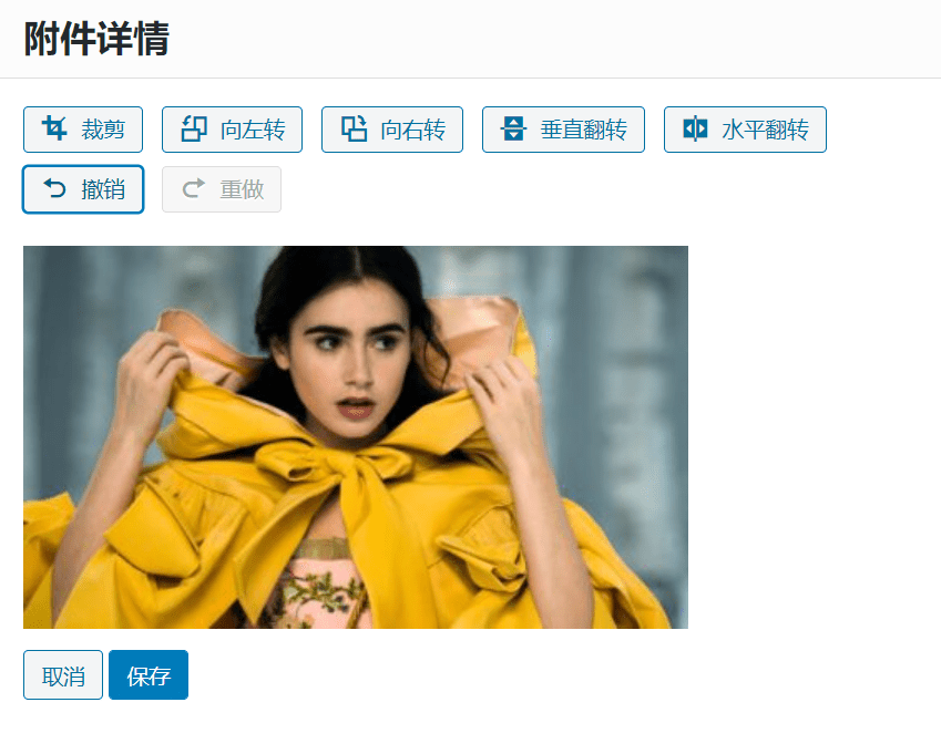 Wordpress裁剪工具变灰?使用WordPress自带工具裁切图片