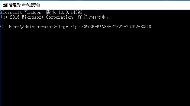 粘贴在服务器上的命令提示符窗口内