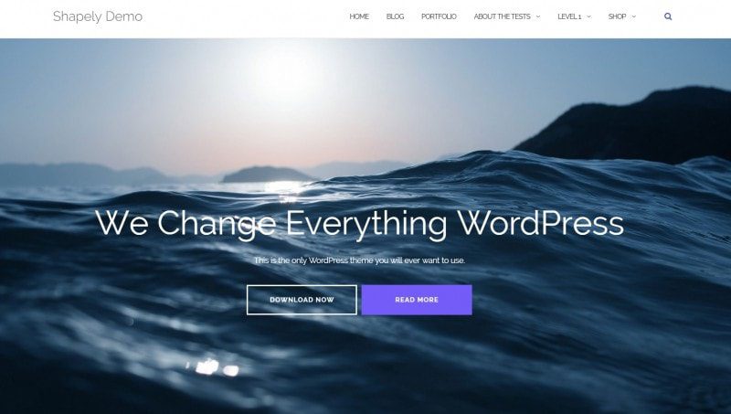 WordPress免费主题与开源主题推荐