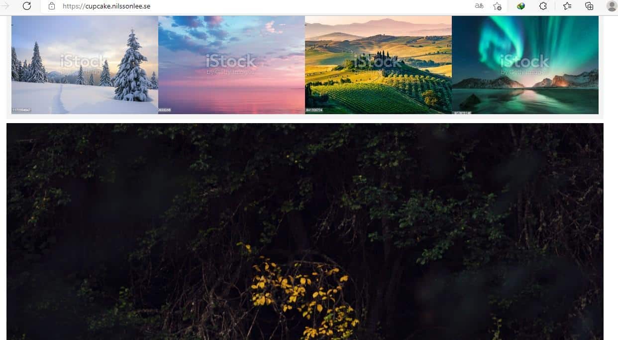 免费无版权图片素材网站推荐！-12