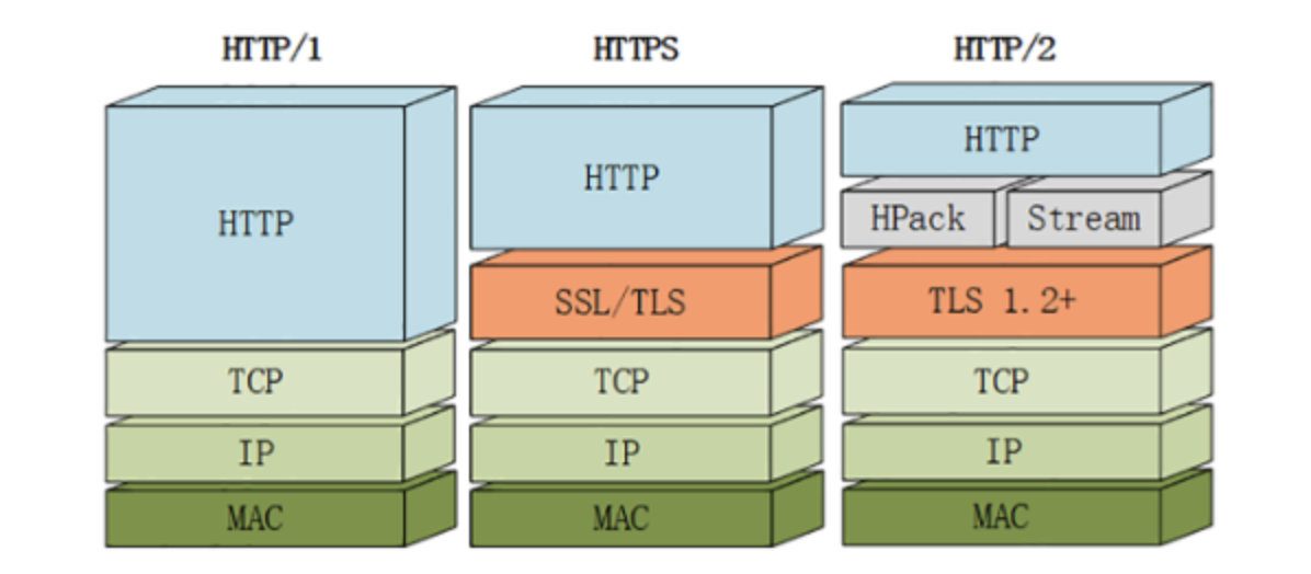http1.x,http2.0,http3.0有什么不同-11