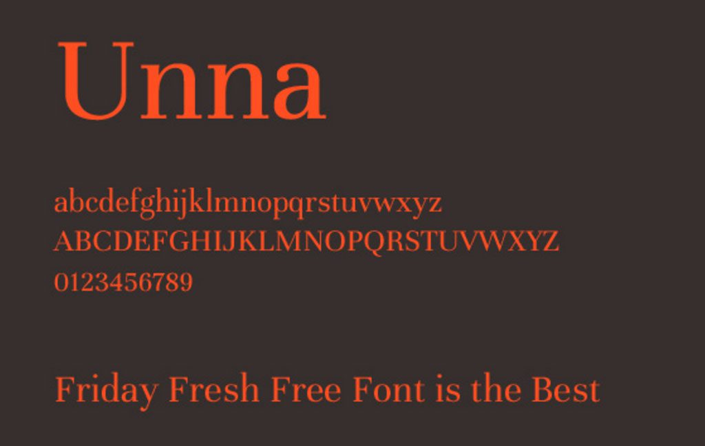 免费字体下载 20 种适合中小企业的衬线字体-19