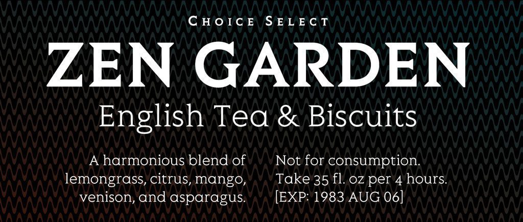 免费字体下载 20 种适合中小企业的衬线字体-12