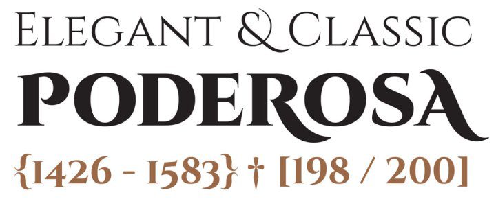 免费字体下载 20 种适合中小企业的衬线字体-4