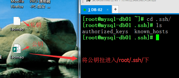 Xshell配置SSH 密钥公钥 Public key Linux免密码登录 