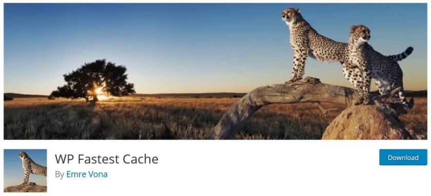 WordPress 最佳浏览器缓存插件推荐， 缓存插件 让你的网站快到起飞-9