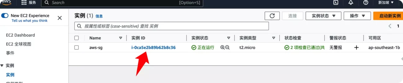 免费申请亚马逊云服务器，使用AWS搭建 Debian 11系统-23