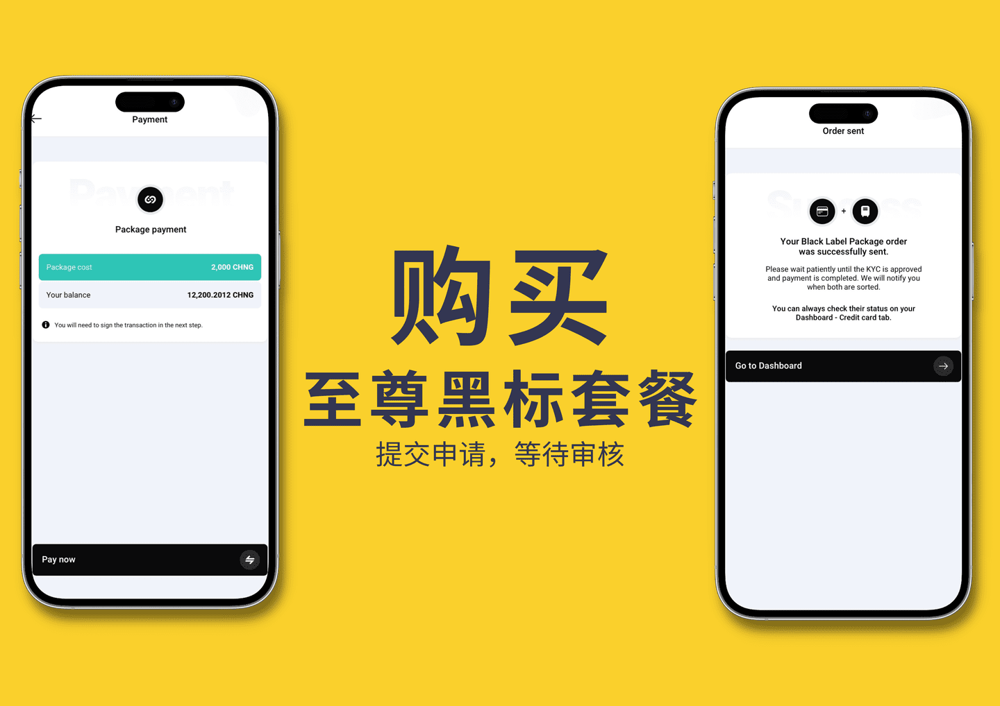 国内虚拟VISA卡使用教程-无需海外身份-12