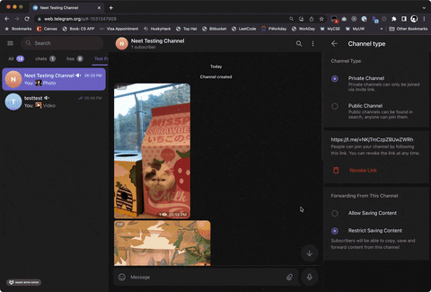 Telegram 媒体下载器高速下载TG文件 ：Telegram Media Downloader-3