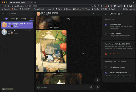 Telegram 媒体下载器高速下载TG文件 ：Telegram Media Downloader-2