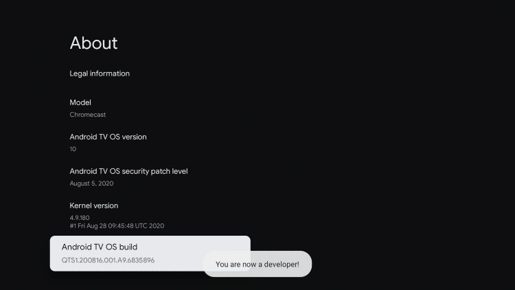 在 Firestick & Android 上安装 Downloader App-74