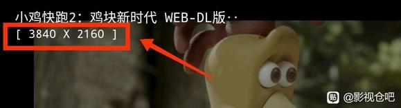 2024 影视仓最新配置接口地址介绍-6