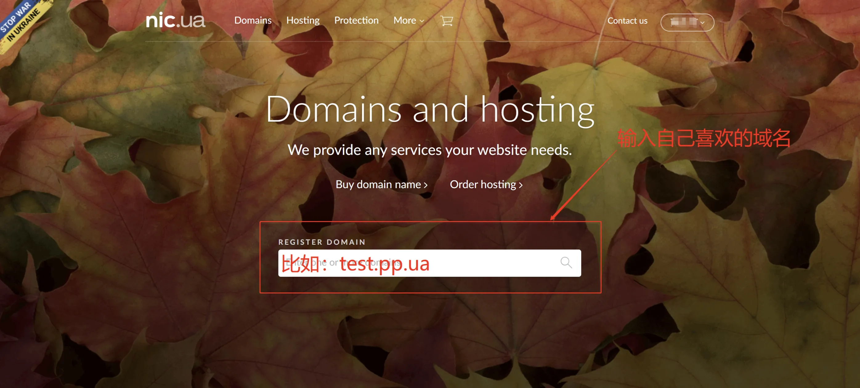 免费域名申请，免费申请pp.ua和eu.org-2